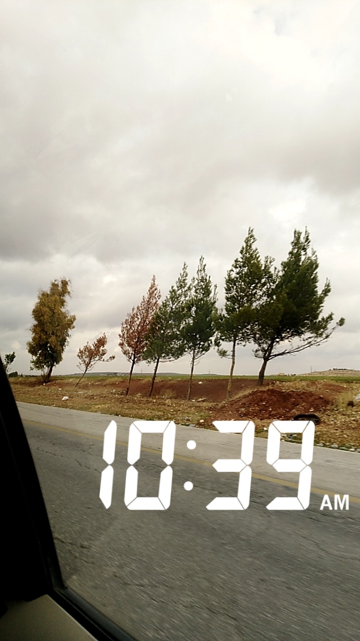 nice weather