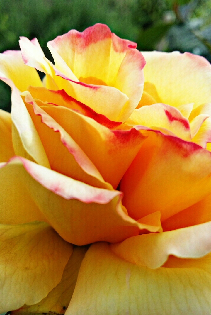 beautiful colors
