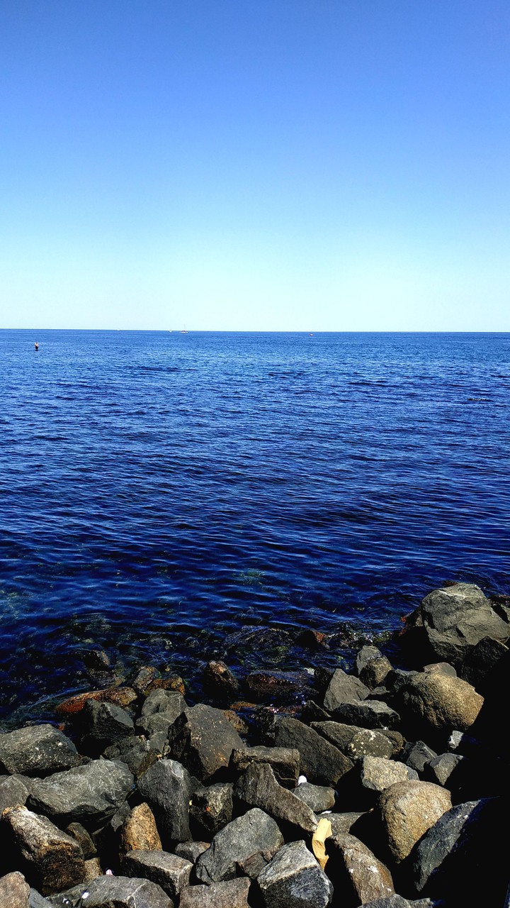 море