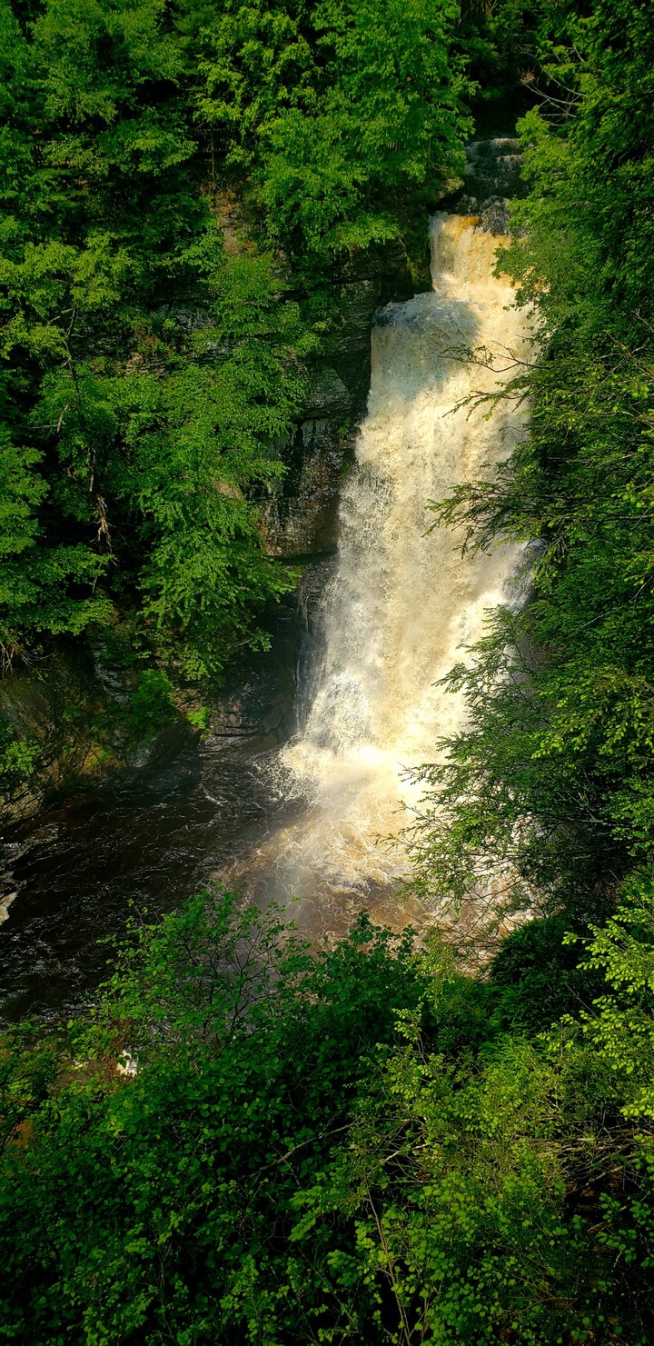 The Waterfall