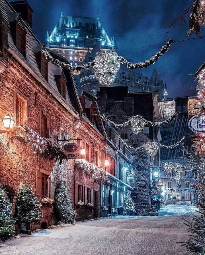 Christmas lights