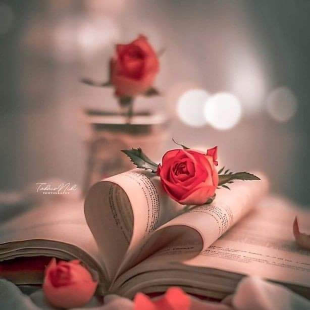 Ahmed Hi