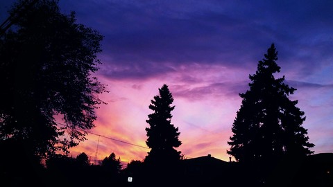 clouds and trees