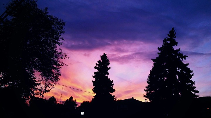 clouds and trees