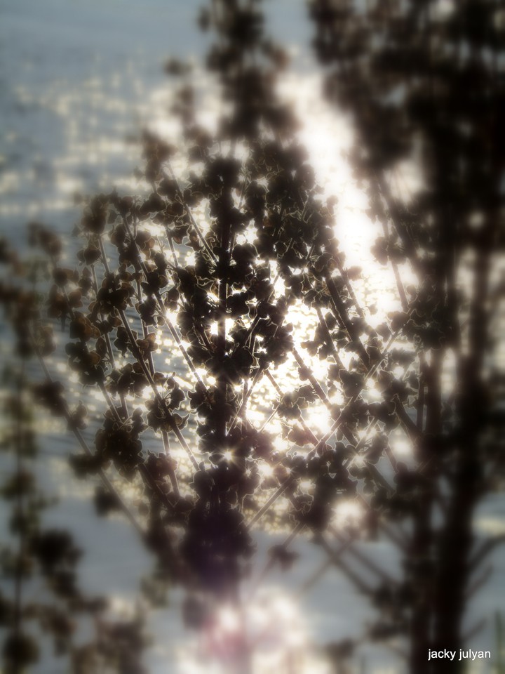 Sparkling dews of hope