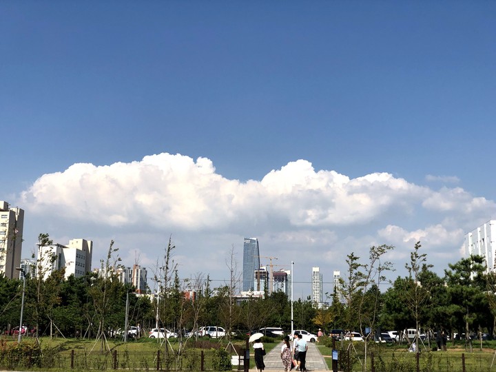 clouds on the city