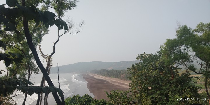 beaches are love?