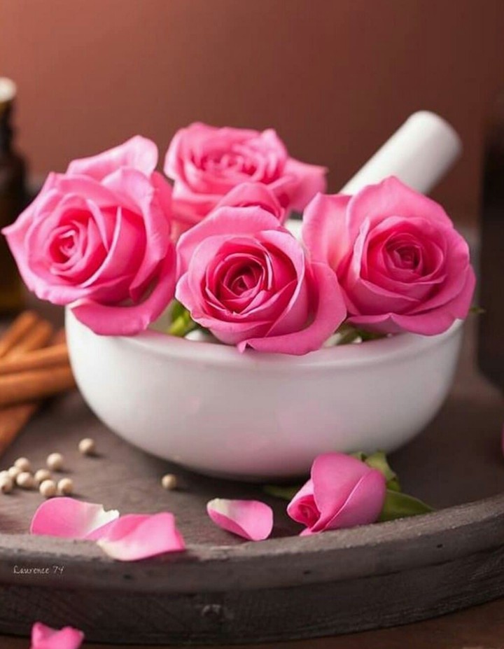 rose