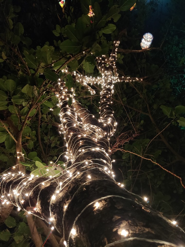 Tree Light