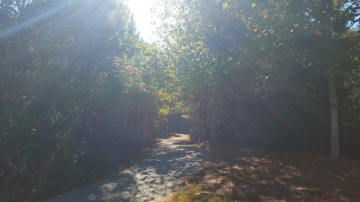 Sunshine Path