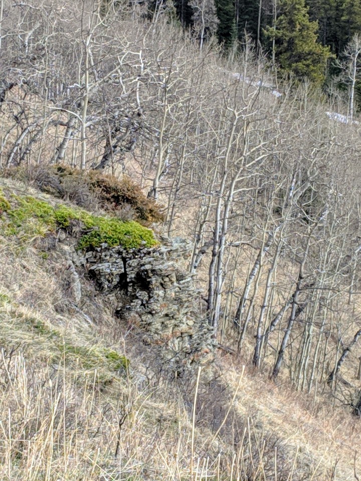 Late winter