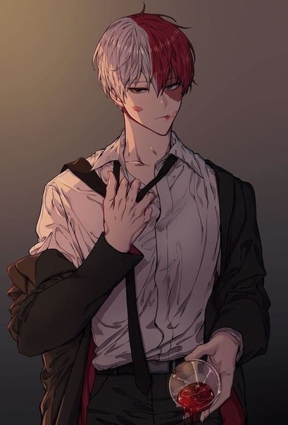 todoroki shoto