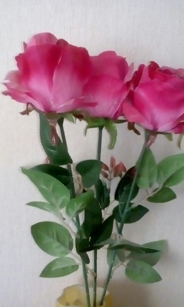 Розы.