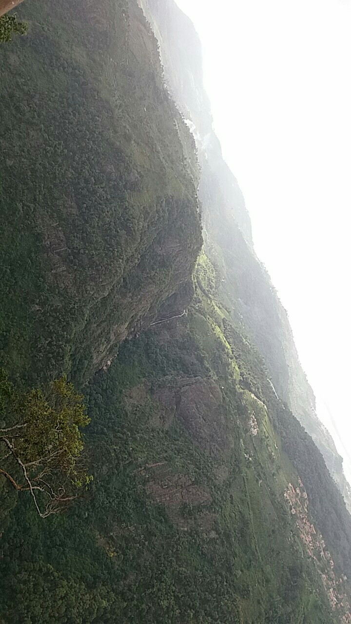 Nature