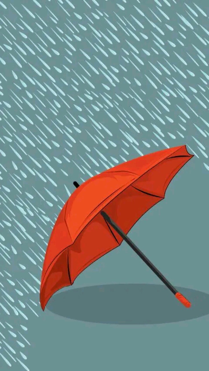 umbrella