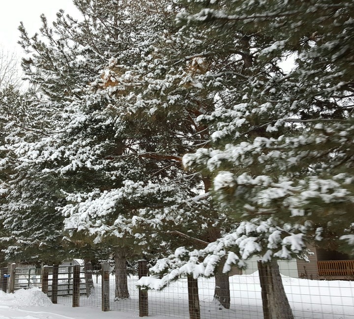 Winter feeling
