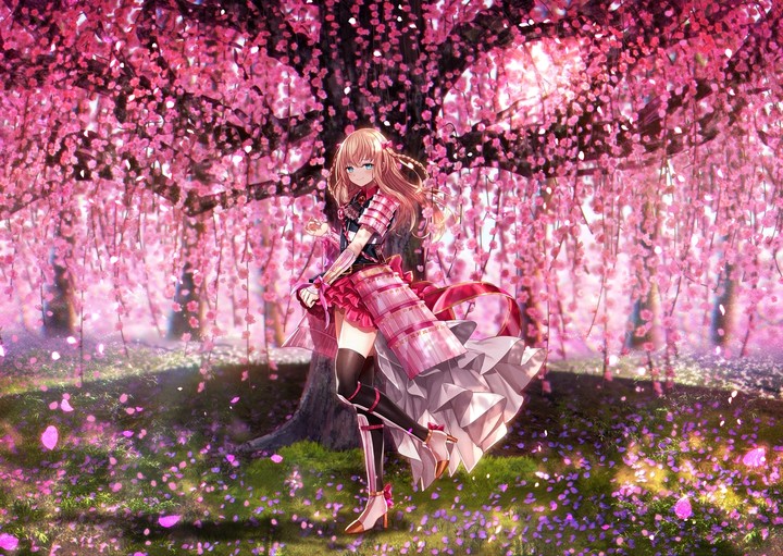 Anime ~