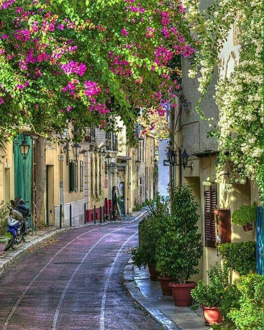 Beautiful sidewalk