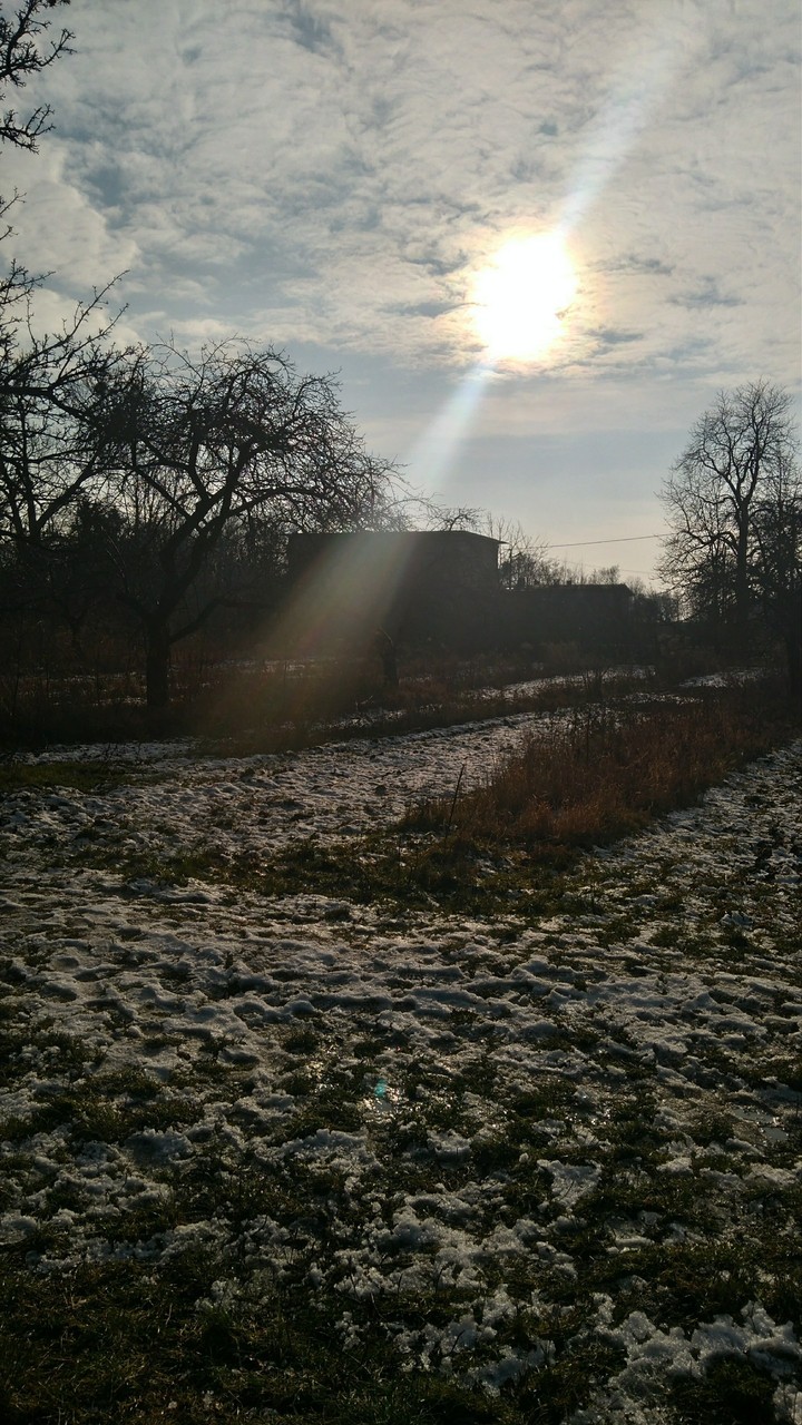 Sun