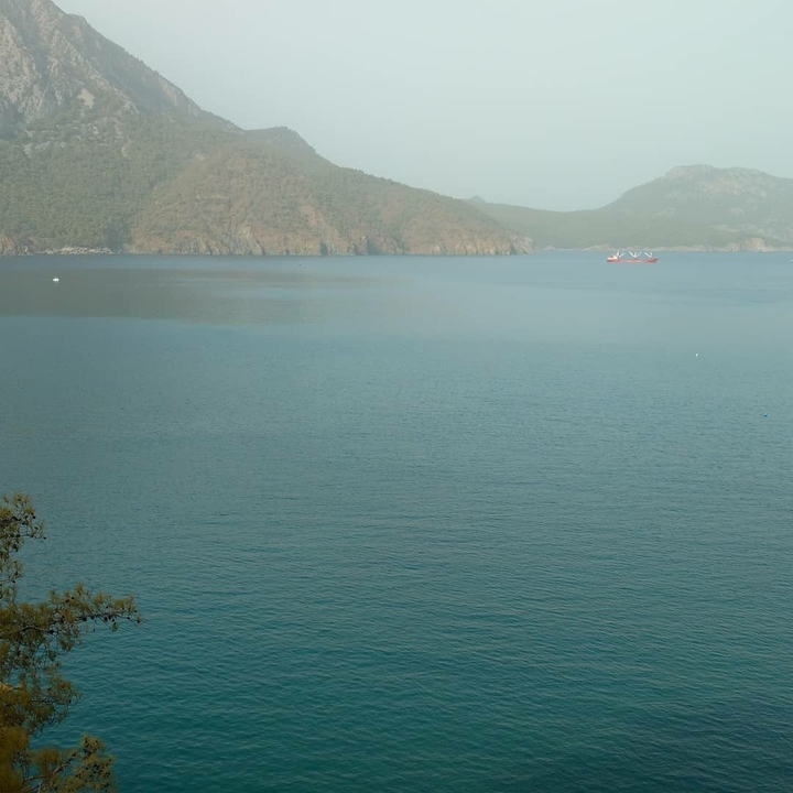 Keşke orada olsam.