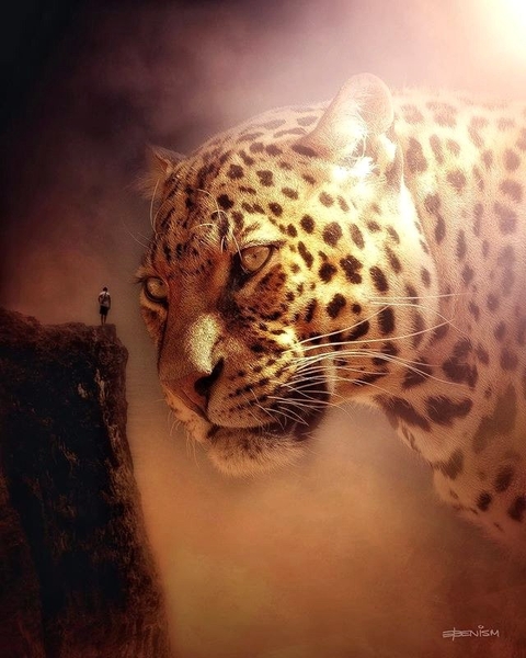 Le tigre