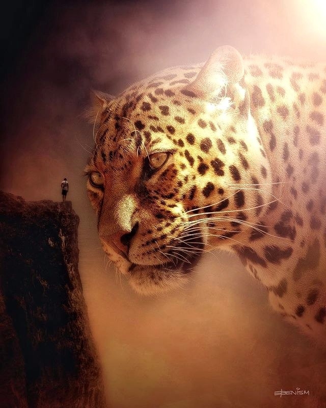 Le tigre