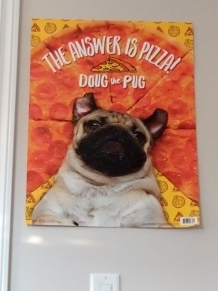 pizza pug