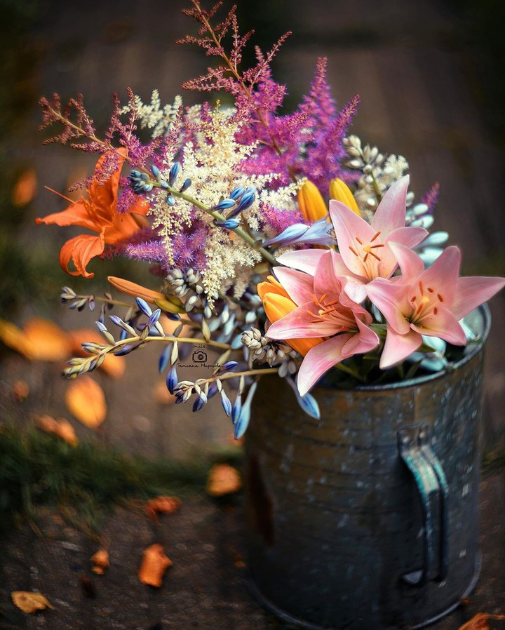 flowers