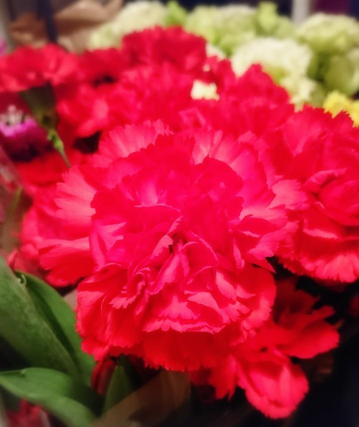 Flowers/花