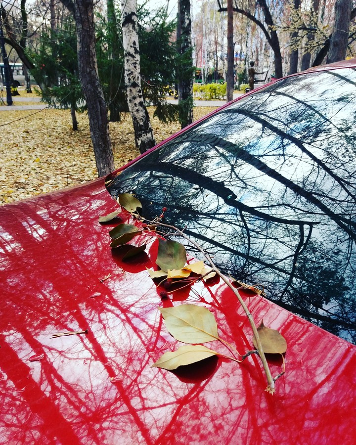 осень на капоте