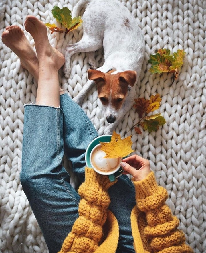 Autumn Mood