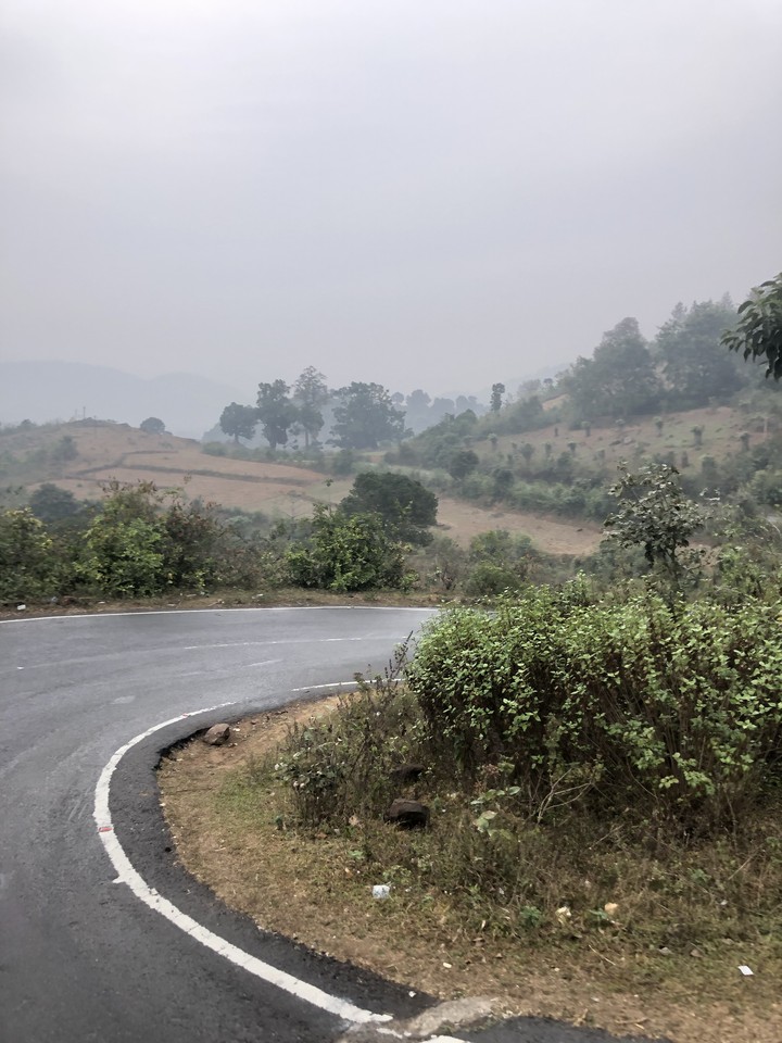Road and nature filled with fog