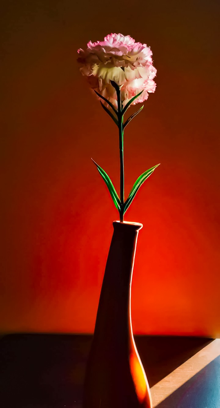 Flower. Pot