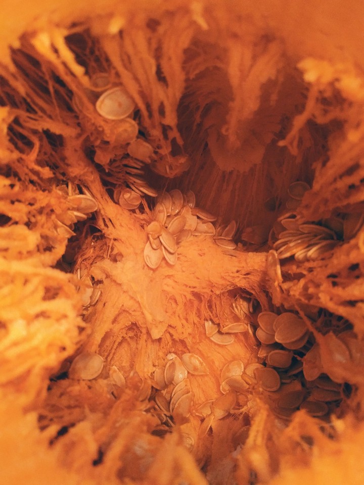 Inside of Pumpkin