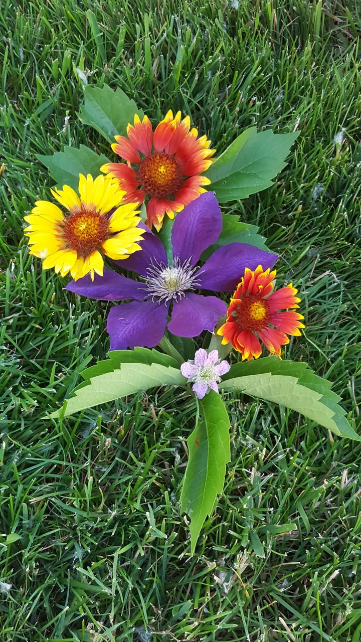 flower