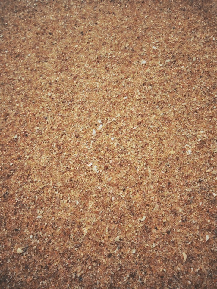 beach sand