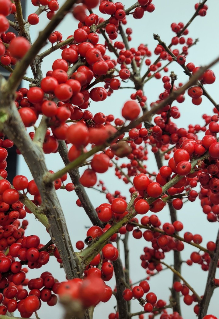 red