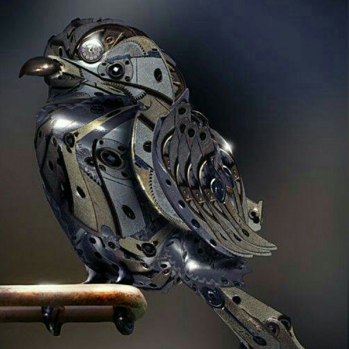 Scraper bird!!