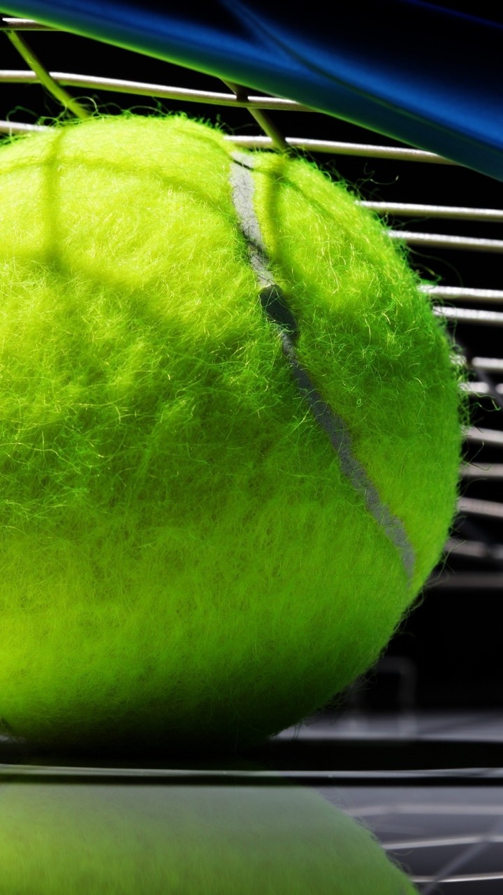 tennis boll