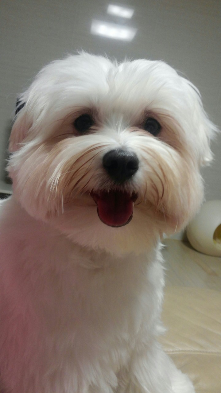 아톰 더샆에서♥