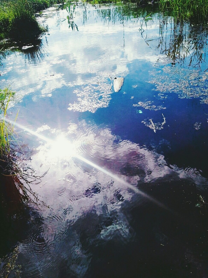 Лето, солнце,  пляж, вода 