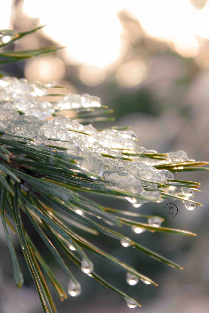 Icy veins