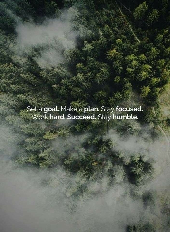 life rules