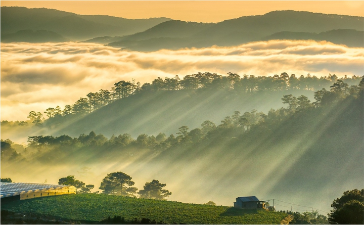 Sunrise in Dalat