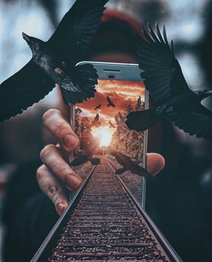 Enter imagination