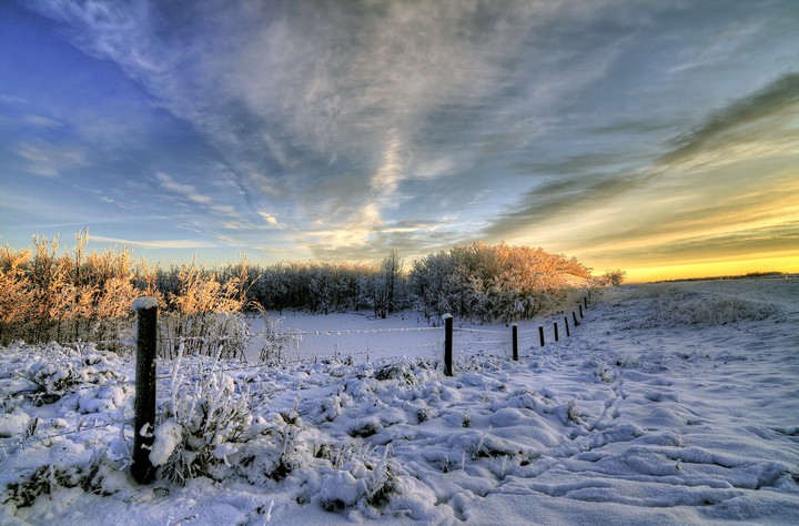 winterfield