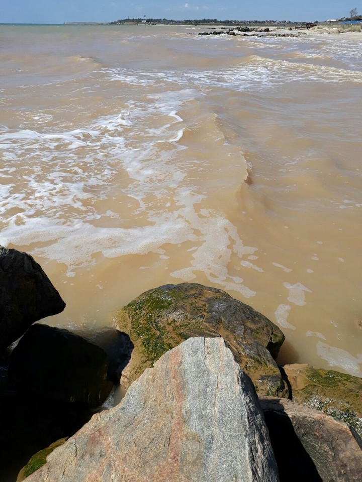 Mudwater