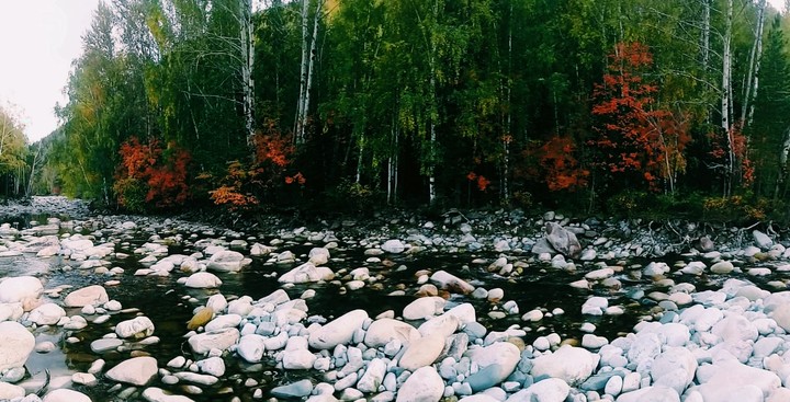 Stones & Water
