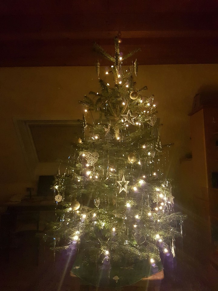 christmas tree