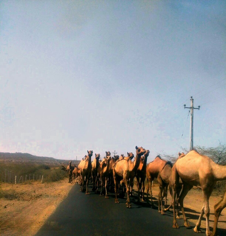 world  traffic  day